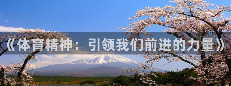 杏彩xc凯捷平台注册链接