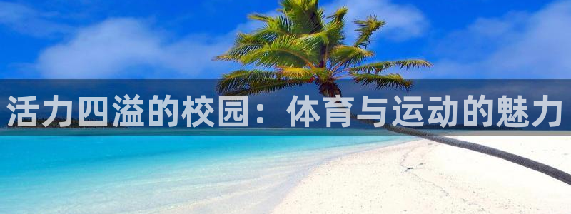 xc什么意思网络用语