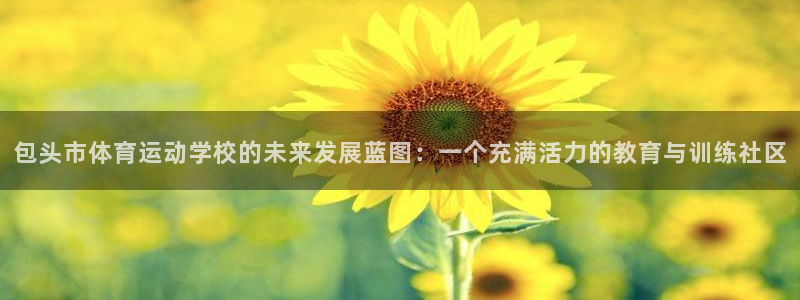 xc是什么意思