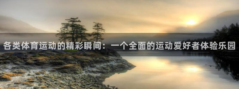 杏彩xc4注册