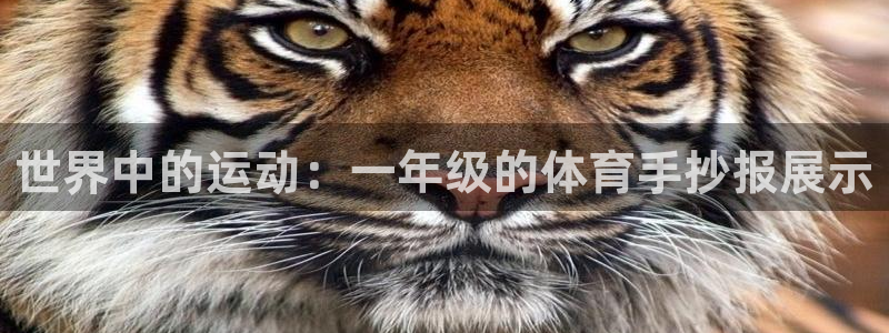 xc是什么缩写