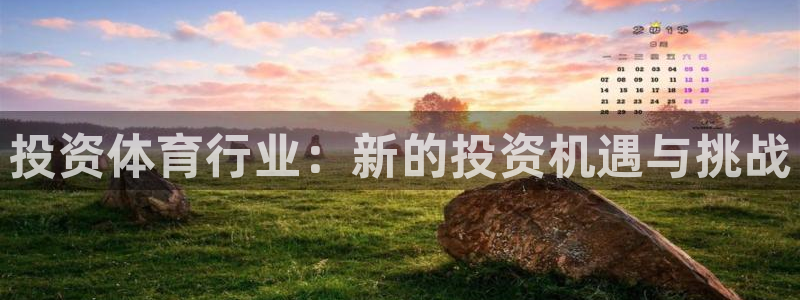 佛山市南海杏彩xc机电仪器有限公司