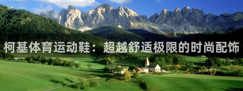 xc网络意思