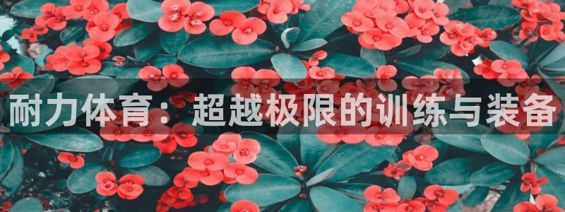 杏彩登录地址