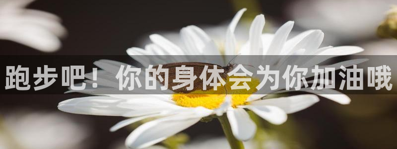 硬尾xc是什么意思