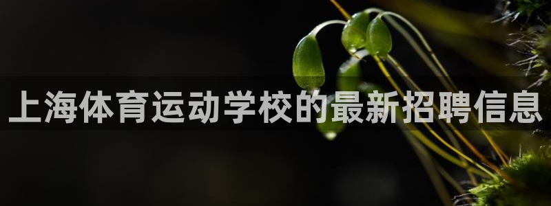 xc是什么意思网络用语