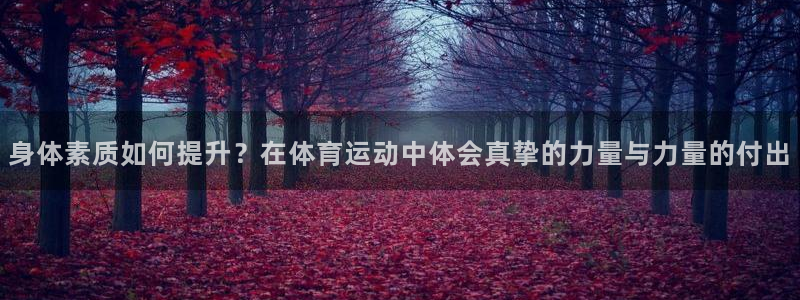 xc是什么牌子