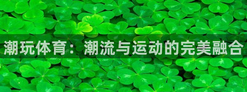 xc是什么缩写