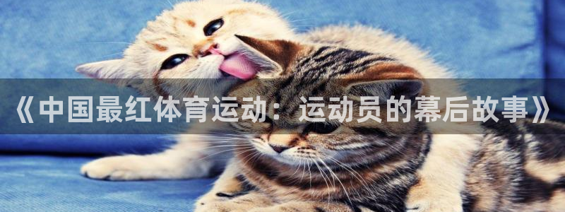 杏彩xc体育3在线注册