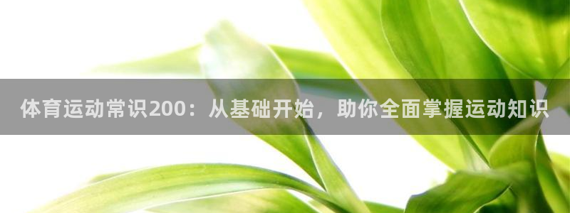 杏彩xc体育平台注册