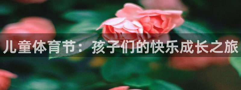 杏彩xc平台开户链接