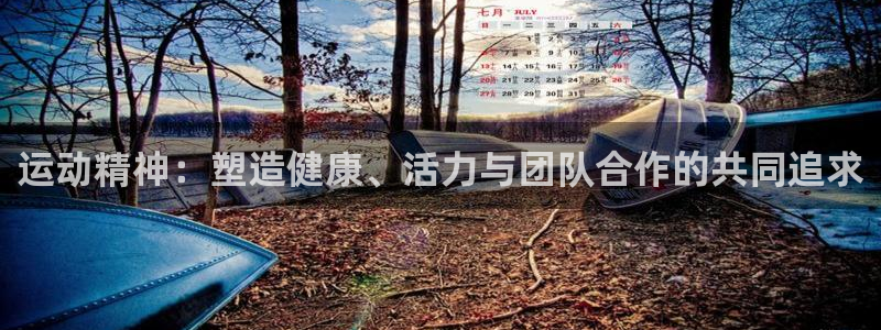 杏彩xc登录注册