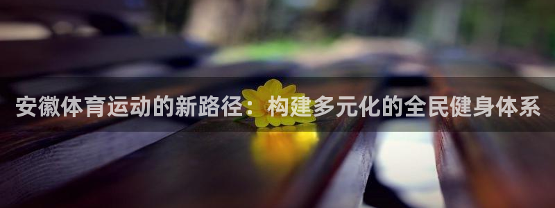 杏彩xc2平台