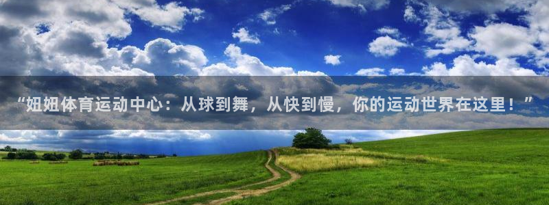 杏彩xc4代理