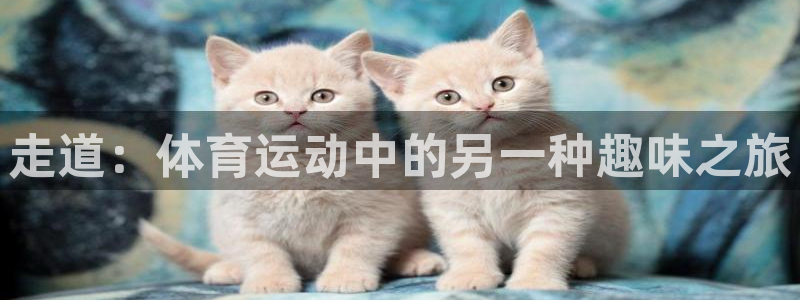 杏彩xc体育热门赛事有哪些