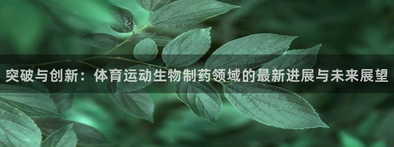 杏彩xc凯捷平台注册链接